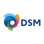Untitled-DSM